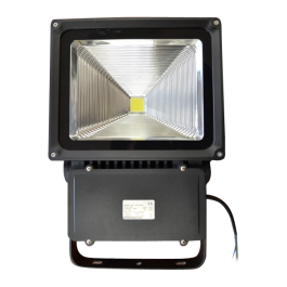100W Proiector LED Clasic Reflector - Alb Cald, Negru Corp